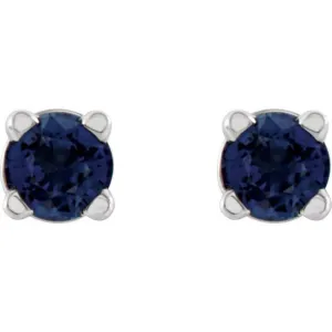 14K White 2.5 mm Natural Blue Sapphire Stud Earrings with Friction Post