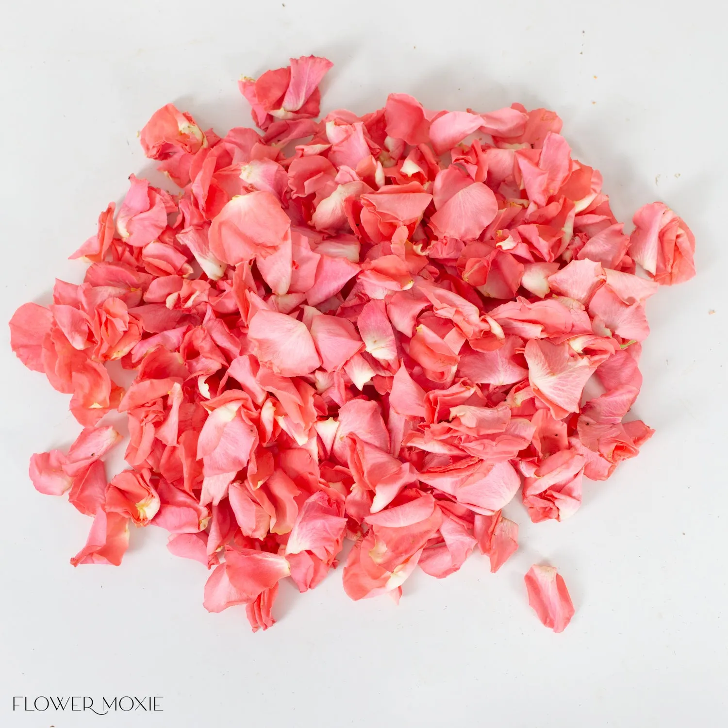 Coral Rose Petals