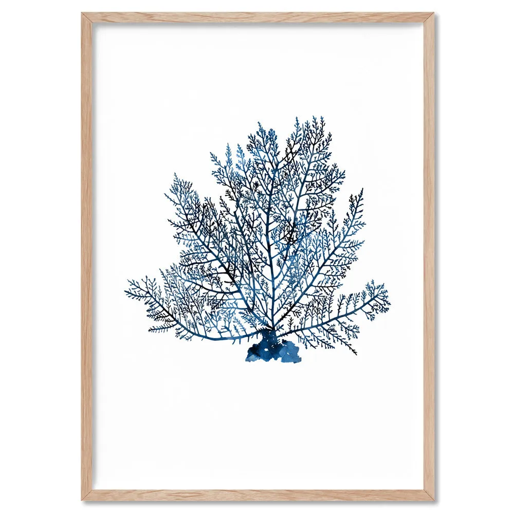 Hamptons Watercolour Blue Coral V - Art Print