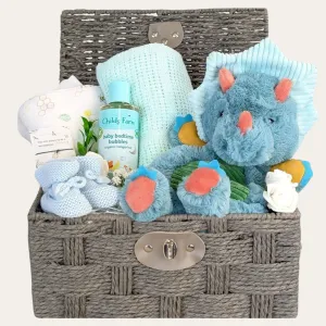 New Baby Boy Gifts Hamper Delightful Diplodocus Dinosaur