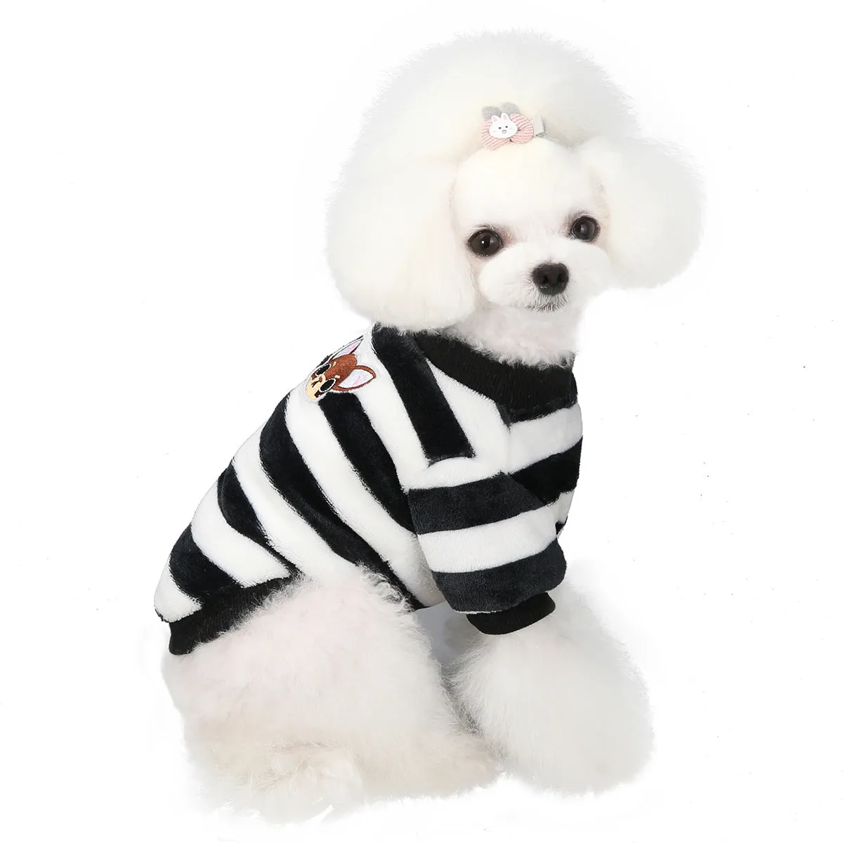 Soft coral fleece small dog winter pet clothing