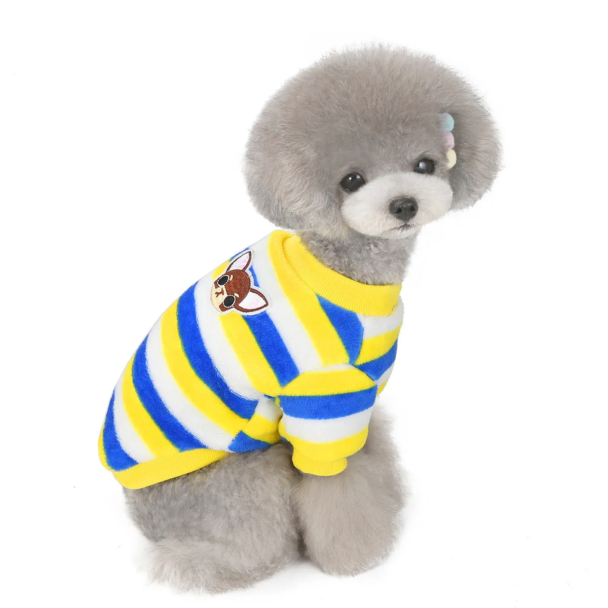 Soft coral fleece small dog winter pet clothing